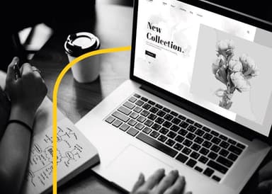 The Best WordPress Plugins and Tools for Your Ecommerce Website