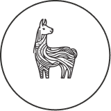 iKhokha testimonial image